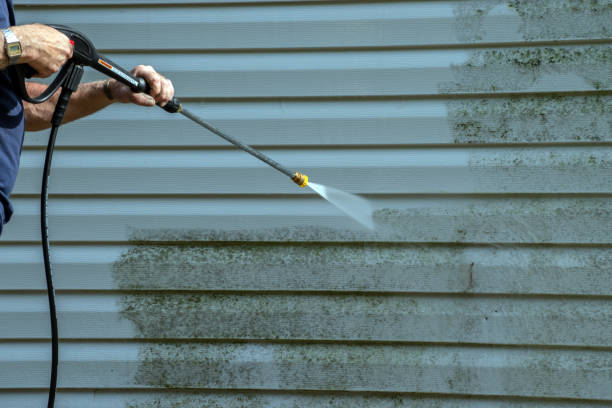 Best Driveway Cleaning and Restoration in Carrollton, MO